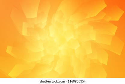 Light Yellow vector texture with colorful hexagons. Colorful hexagons on white backdrop. Pattern for ads, leaflets.