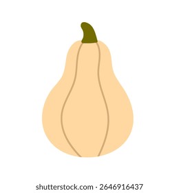 Light-colored squash with rounded body and short stem, ideal for harvest season design and food-themed illustrations