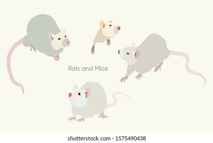 Light-grey nice rats and mice - a symbol of 2020 new year - on white background. Happy holiday, congratulation, gift, greeting card, party invitation, web page. EPS10