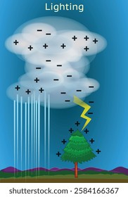 Lighting diagram, cloud to tree. in rainy weather electron transfer. Thunder strike in night, scheme. Negative to positive electricity. Vector illustration