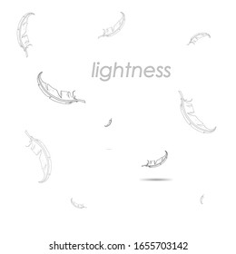 lightness vector illustration with hand drawn falling feathers isolated on white. Style flyer with down object silhouette vector concept