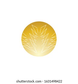 Lightning flash icon logo vector