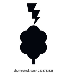Lightning Striking Tree disaster accident