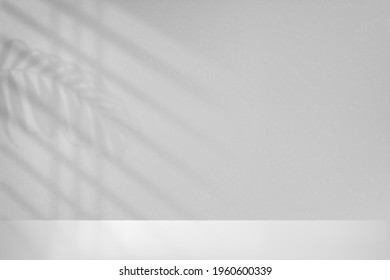 Lights from window on wall and floor. White mockup with shadow from blinds and leaf on in room. Mock up empty for design prints. Realistic shade reflected leaves. Overlay effect background. Vector