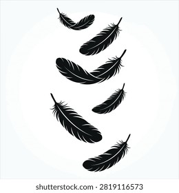 Lightweight falling feather graphics for soft airy designs.