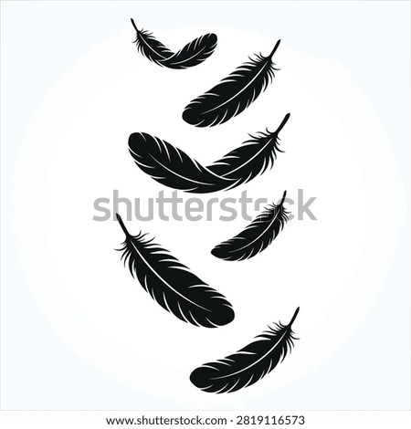 Lightweight falling feather graphics for soft airy designs.