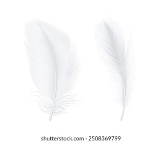 Lightweight fluffy plumage of white bird. Vector isolated set of realistic weightless avian animal feather. Smooth and elegant decoration, nature and softness of touch. Wing of birdie, quills