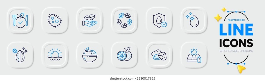 Lightweight, Orange and Vegetarian food line icons for web app. Pack of Dirty water, Solar panel, Fruits pictogram icons. Waterproof, Bacteria, Potato signs. Organic tested, Sunset, Water drop. Vector