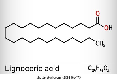 Lignoceric acid, tetracosanoic acid, saturated fatty acid molecule. Occurs naturally in wood tar, in small amount in most natural fats. Skeletal chemical formula. Vector illustration