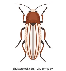 Fusca, inseto. Inseto colorido. Espécie de inseto da natureza e biodiversidade. Ilustração plana do vetor do besouro.