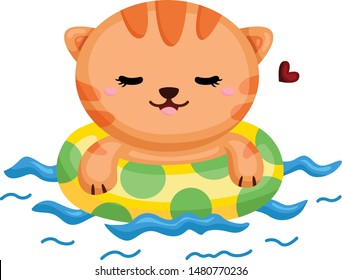 liitle cat relaxing while swimming