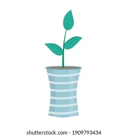Liittle cute plant in blue pot. Flat vector isolated illustration