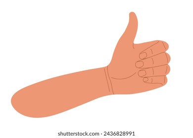 Like sign. Human hand gesturing thumbs up showing good, ok. Hand thumb up or like sign isolated on white background. Design of approval emoji for social media message. Success and achievement of goal