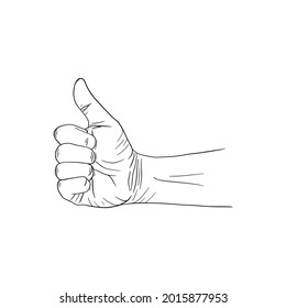 Like, Thumb up hand drawn symbol vector illustration