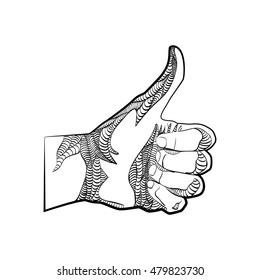 Like, vector illustration. Sketch. hand drawn. Human hand giving ok.