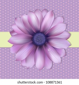 Lilac Background With Gerber, Vector Illustration