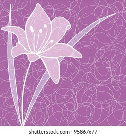 Lilac background with lily
