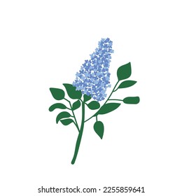 Lilac branch. Colorful flowers with four petals. Vector illustration , perfect for print, wedding design