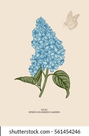 Lilac branch. Floral background. Vector illustration.