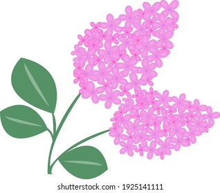 Lilac branch flower icon. Vector illustration.
