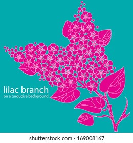 lilac branch on a turquoise background