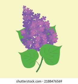 lilac branch on yellow background