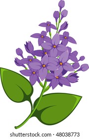 Lilac branch over white.