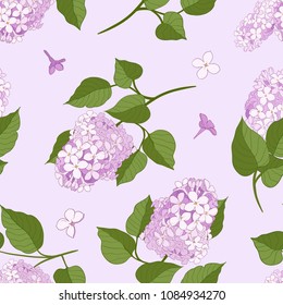    Lilac branches with leaves.Seamless pattern with blooming lilac.Various branches of lilac on a light violet background. Hand-drawn vector floral illustration. 