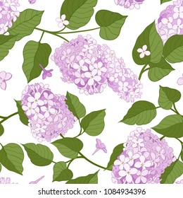 Lilac branches with leaves.Seamless pattern with blooming lilac. Various branches of lilac on a white background.Hand-drawn vector floral illustration. 