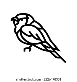 lilac breasted roller bird exotic line icon vector. lilac breasted roller bird exotic sign. isolated contour symbol black illustration