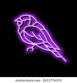 lilac breasted roller bird exotic neon light sign vector. lilac breasted roller bird exotic sign. isolated symbol illustration