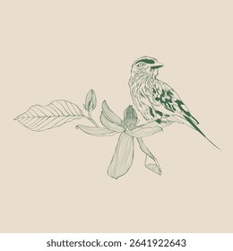 Lilac breasted Roller bird with magnolia flower. Design element. Line illustration.