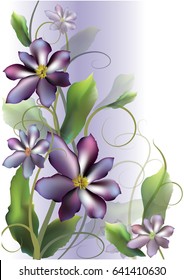 Lilac floral background