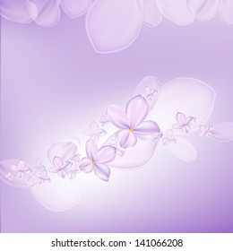 lilac flower