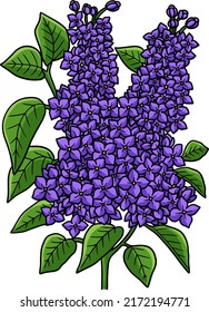 Lilac Flower Cartoon Colored Clipart Illustration