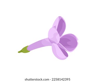 Lilac flower cartoon icon. Vector illustration of spring flower isolated on white background.
