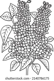 Lilac Flower Coloring Page for Adults