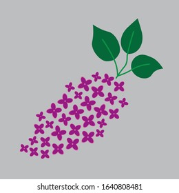 lilac flower icon- vector illustration