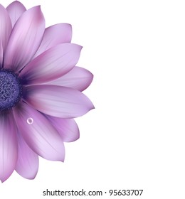 Lilac Flower, Isolated On White Background, Vector Illustration