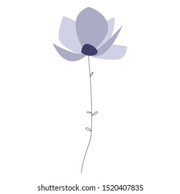 Lilac flower on white background for cards,invitations,icons,highlights.