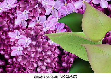 Lilac flowers background Vector realistic. Spring floral background 3d illustration