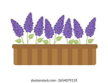 Lila Blumen in einem Balkonpflanzer. Botanische Vektorgrafik.