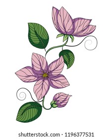 lilac flowers for decoration