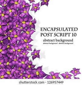 Lilac Flowers on a white background