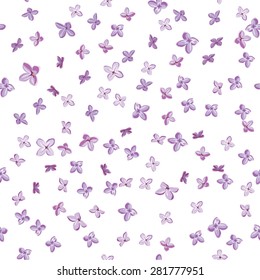 Lilac flowers, seamless background, vector illustration