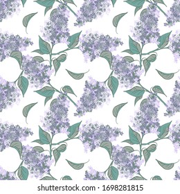 Lilac Flowers Seamless Pattern. Hand Drawn Floral Background.