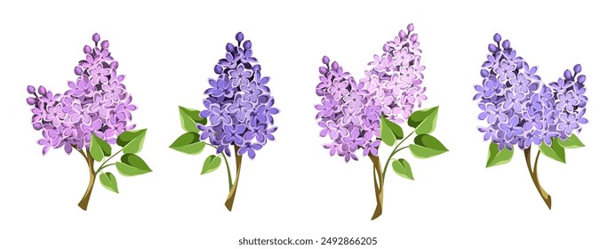 Lilac flowers. Set of lilac branches with pink and purple flowers isolated on a white background. Vector illustrations. Hand-drawn illustration, not AI