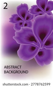 lilac, flowers, spring, floral, background, purple, blossom, nature, bouquet, white, violet, petal, blooming, closeup, macro, leaf, green, beauty, card, decoration, isolated, plant, garden, botanical, romantic, branch, fresh, smell, aroma, fragrance, syringa, bloom, flora, summer, bright, soft, natural, wedding, greeting, template, design, element, bunch, color, spring-time, texture, delicate, wallpaper, pastel, detail