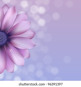 Lilac Gerber With Water Drop, Vector Illustration