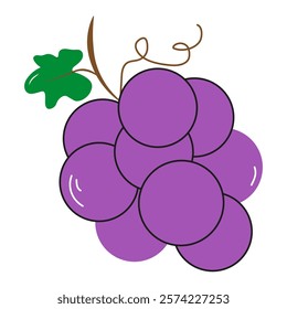 Lilac grapes ripe juicy with green leaf in flat style.Isolated grape variety on white background